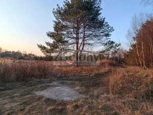 Działka 1 200,00 m², Żelechów, Sprzedaż