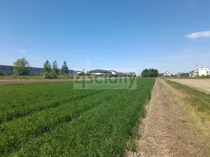 Działka 1 246,00 m², Zgorzała, Sprzedaż