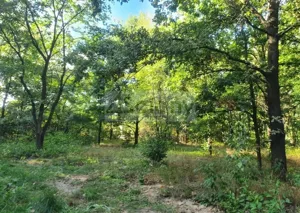 Działka 1 100,00 m², Żółwin, Sprzedaż