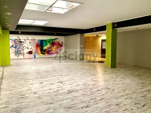 Lokal użytkowy 384,00 m², Pruszków, Sprzedaż