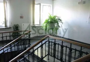 Biuro 20,00 m², Warszawa, Śródmieście, Wynajem