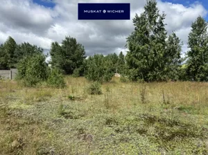Działka 2 214,00 m², Warzno, Sprzedaż