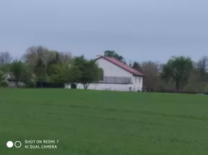Działka 1 620,00 m², Czernin, Sprzedaż