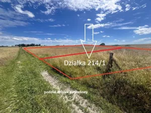 Działka 4 691,00 m², Zieleniewo, Jantarowa, Sprzedaż