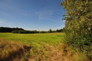 Działka 3 021,00 m², Stojkowo, Sprzedaż