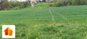 Działka 1 973,00 m², Chmielnik, Sprzedaż