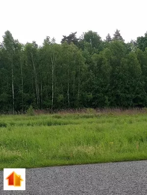 Działka 4 720,00 m², Grodzisko Dolne, Sprzedaż