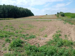 Działka 2 240,00 m², Rzeszów, Bzianka, Leszczynowa, Sprzedaż