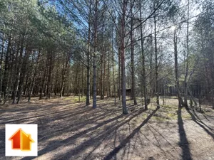 Działka 850,00 m², Basinów, Letniskowa, Sprzedaż