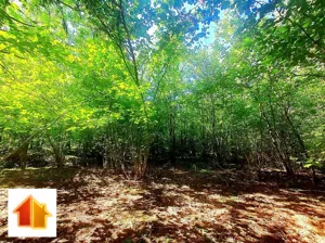 Działka 2 080,00 m², Łupianka Stara, Sprzedaż