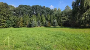 Działka 1 202,00 m², Wodzisław Śląski, Oraczy, Sprzedaż