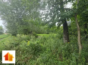 Działka 9 300,00 m², Siecień-Rumunki, Sprzedaż