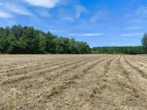 Działka 18 000,00 m², Radawa, Świętej Anny, Sprzedaż