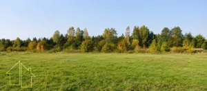 Działka 3 931,00 m², Wólka Radzymińska, Szkolna, Sprzedaż