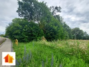 Działka 3 000,00 m², Tetyń, Sprzedaż