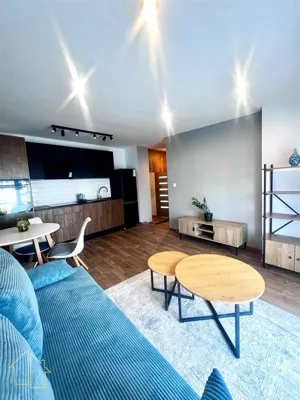 Mieszkanie jednopokojowe 27,00 m², Rybnik, Porucznika Kazimierza Ogrodowskiego, Wynajem