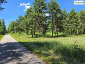 Działka 2 000,00 m², Aleksandrów, Sprzedaż
