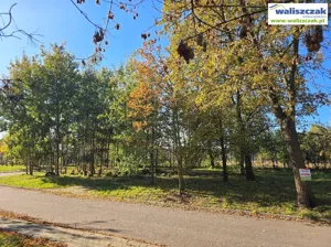 Działka 1 165,00 m², Piotrków Trybunalski, Czesława Miłosza, Sprzedaż
