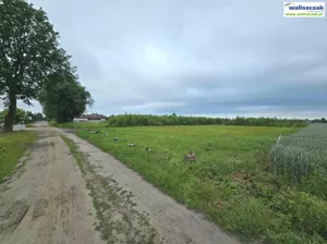 Działka 1 149,00 m², Piotrków Trybunalski, Dworska, Sprzedaż
