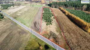 Działka 7 996,00 m², Gorzkowice, Sprzedaż