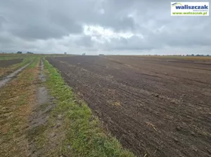 Działka 32 356,00 m², Piotrków Trybunalski, Grabska, Sprzedaż