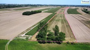 Działka 13 462,00 m², Piotrków Trybunalski, Grabska, Sprzedaż