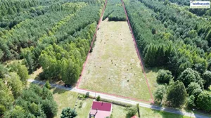 Działka 25 500,00 m², Łęki Szlacheckie, Sprzedaż