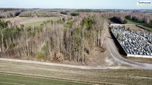 Działka 2 400,00 m², Paradyż, Sprzedaż