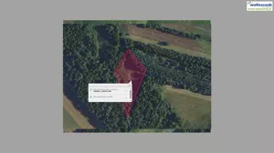 Działka 3 200,00 m², Paradyż, Sprzedaż