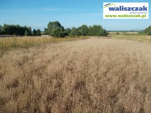 Działka 13 900,00 m², Ręczno, Sprzedaż