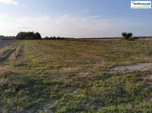 Działka 8 207,00 m², Rozprza, Sprzedaż