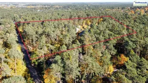 Działka 38 800,00 m², Sulejów, Sprzedaż