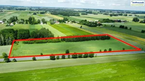 Działka 35 000,00 m², Wola Krzysztoporska, Sprzedaż
