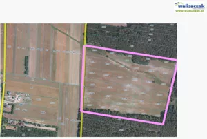 Działka 115 601,00 m², Wolbórz, Sprzedaż