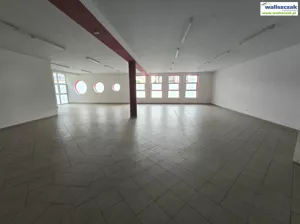 Lokal użytkowy 278,00 m², Bełchatów, Wynajem