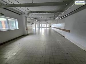 Lokal użytkowy 372,00 m², Bełchatów, Wynajem
