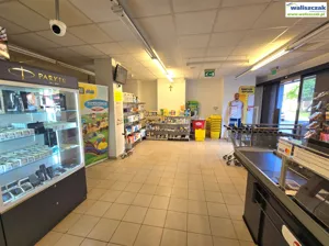 Lokal użytkowy 560,00 m², Piotrków Trybunalski, Wynajem