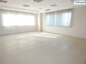 Lokal użytkowy 50,00 m², Piotrków Trybunalski, Wynajem