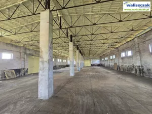 Magazyn 808,00 m², Piotrków Trybunalski, Wynajem