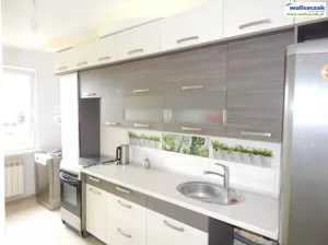 Mieszkanie dwupokojowe 48,00 m², Piotrków Trybunalski, Wynajem