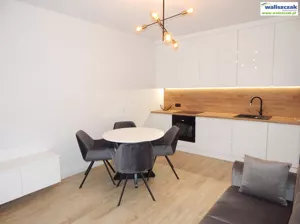 Mieszkanie dwupokojowe 43,00 m², Piotrków Trybunalski, Wynajem