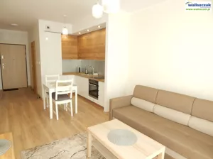 Mieszkanie dwupokojowe 42,00 m², Piotrków Trybunalski, Wynajem