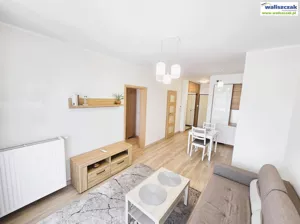Mieszkanie dwupokojowe 42,00 m², Piotrków Trybunalski, Wynajem