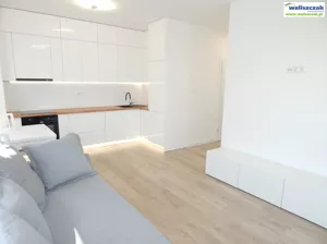 Mieszkanie trzypokojowe 52,00 m², Piotrków Trybunalski, Wynajem