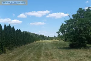 Działka 76 394,00 m², Nowe Wrońska, Sprzedaż