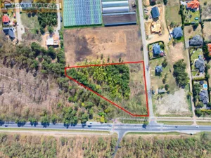 Działka 7 874,00 m², Rajszew, Sprzedaż
