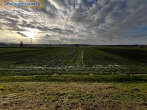 Działka 4 939,00 m², Świerże Górne, Sprzedaż