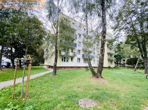 Apartamenty 983/9046/OMS Warszawa Praga Południe Afrykańska