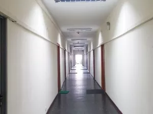 Zdjęcie oferty