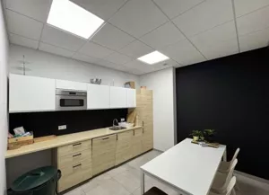 Lokal użytkowy 400,00 m², Warszawa, Wawer, Wynajem